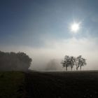 Herbstnebel