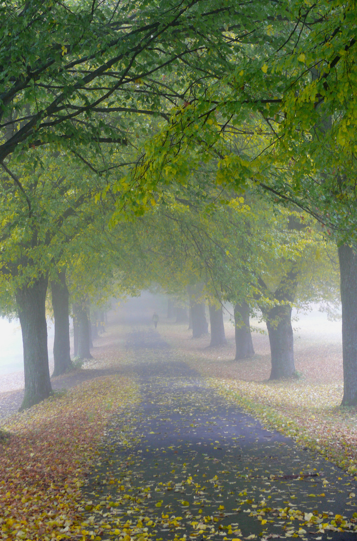 Herbstnebel