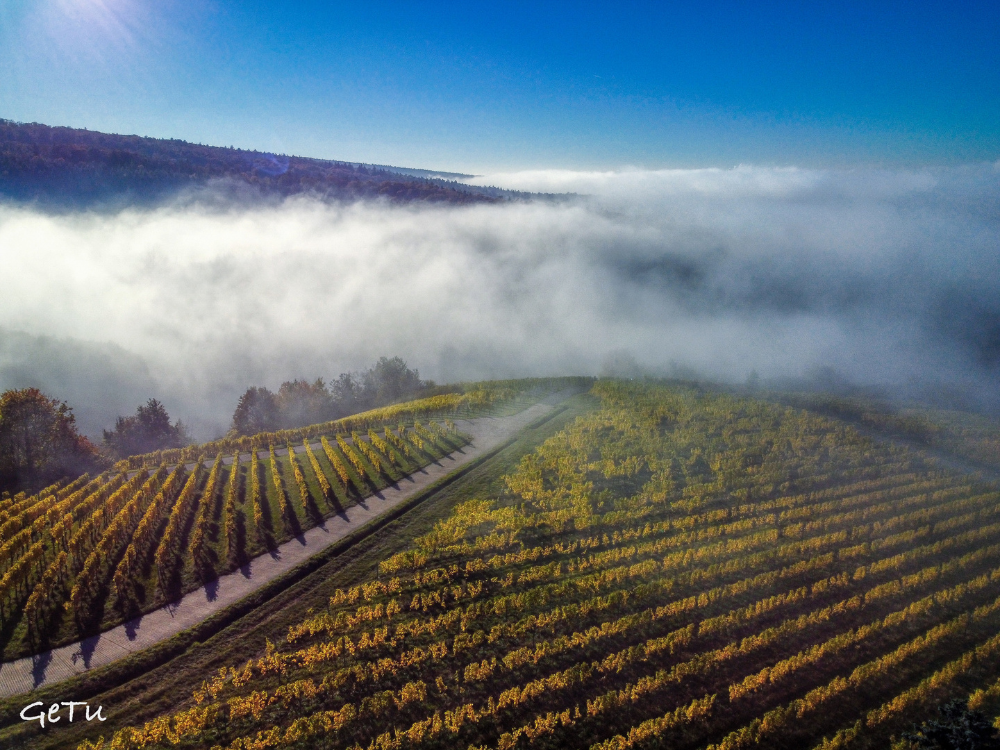 Herbstnebel