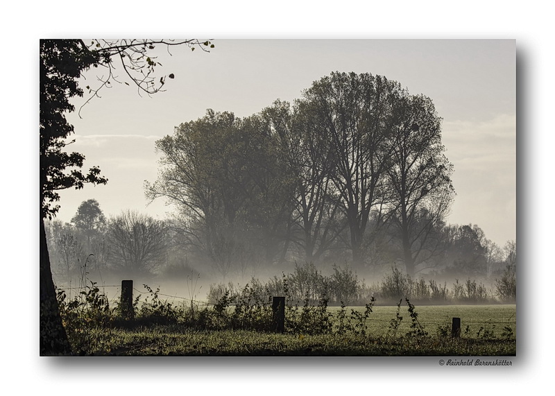 Herbstnebel