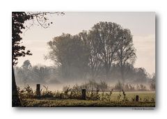 Herbstnebel