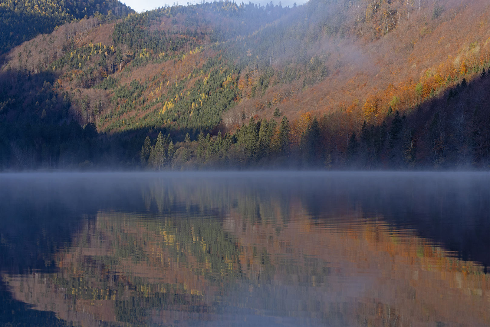 Herbstnebel