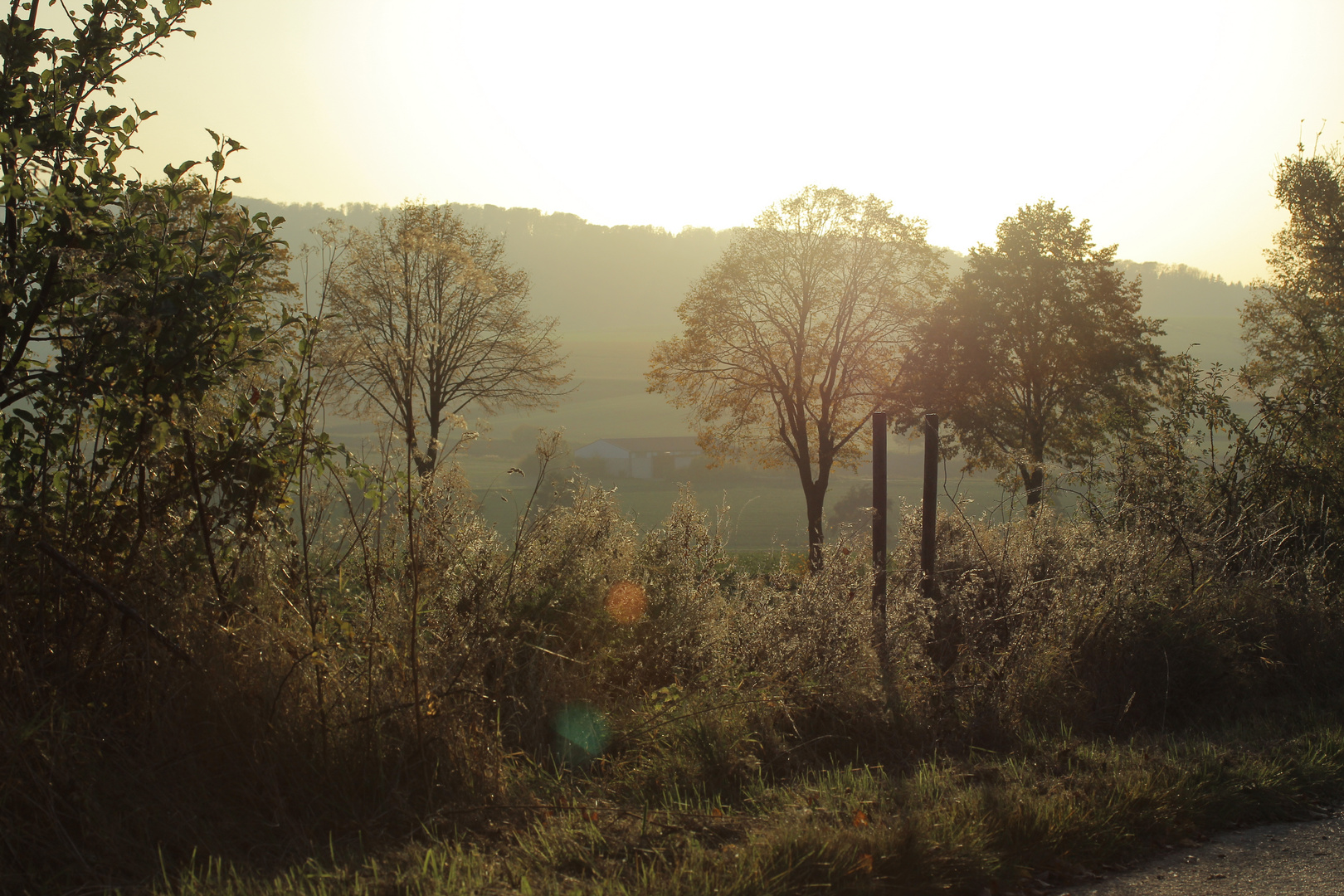 Herbstnebel