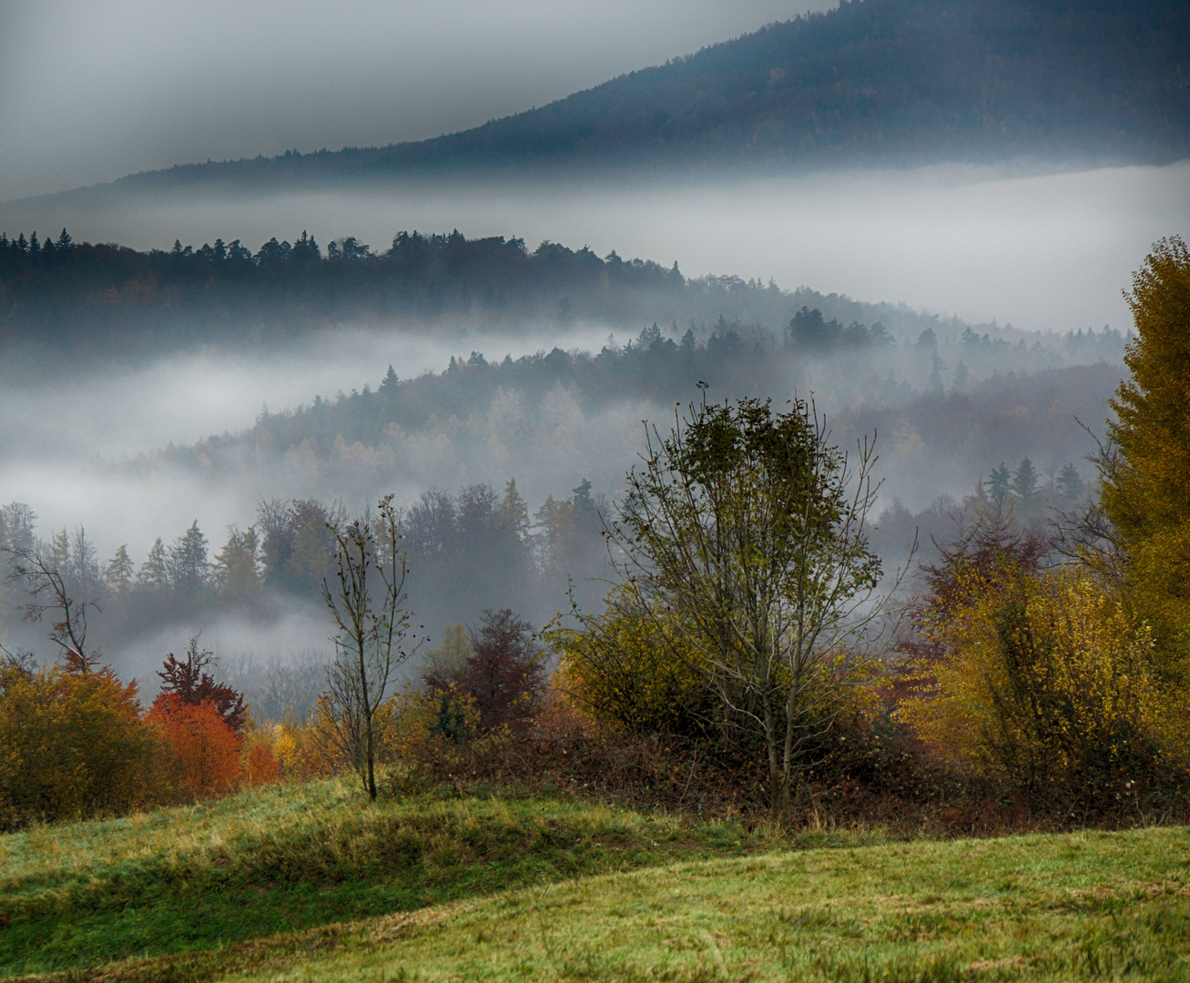 Herbstnebel