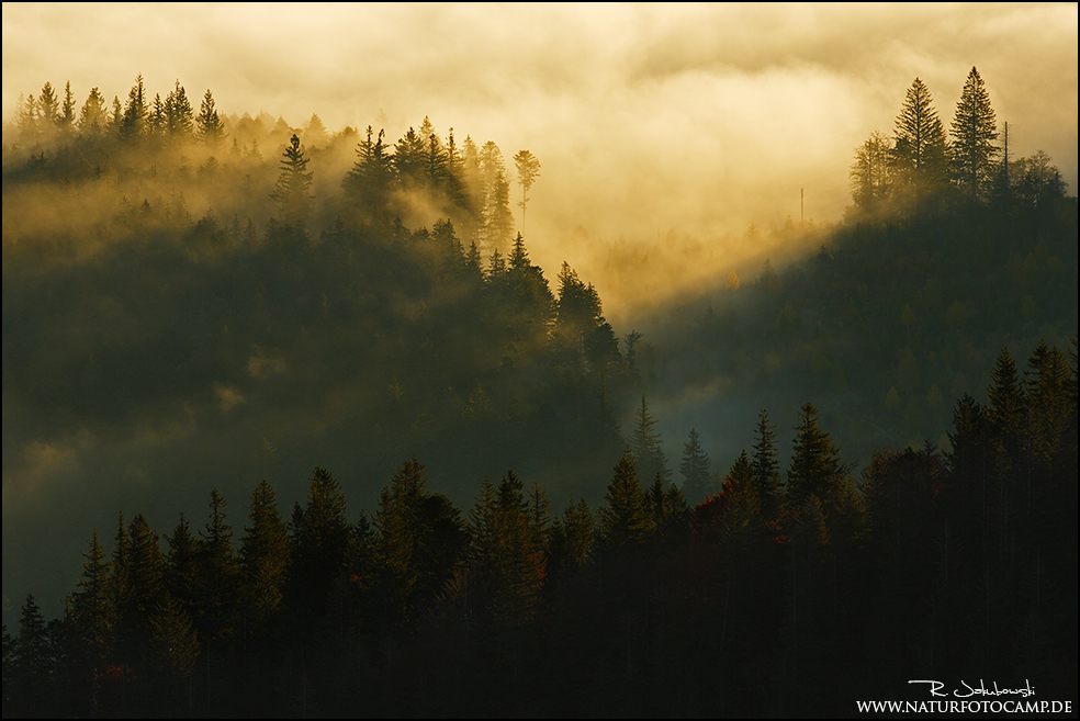 Herbstnebel