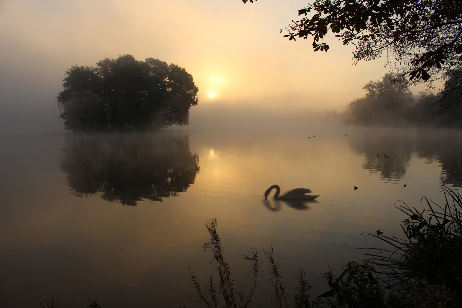 Herbstnebel