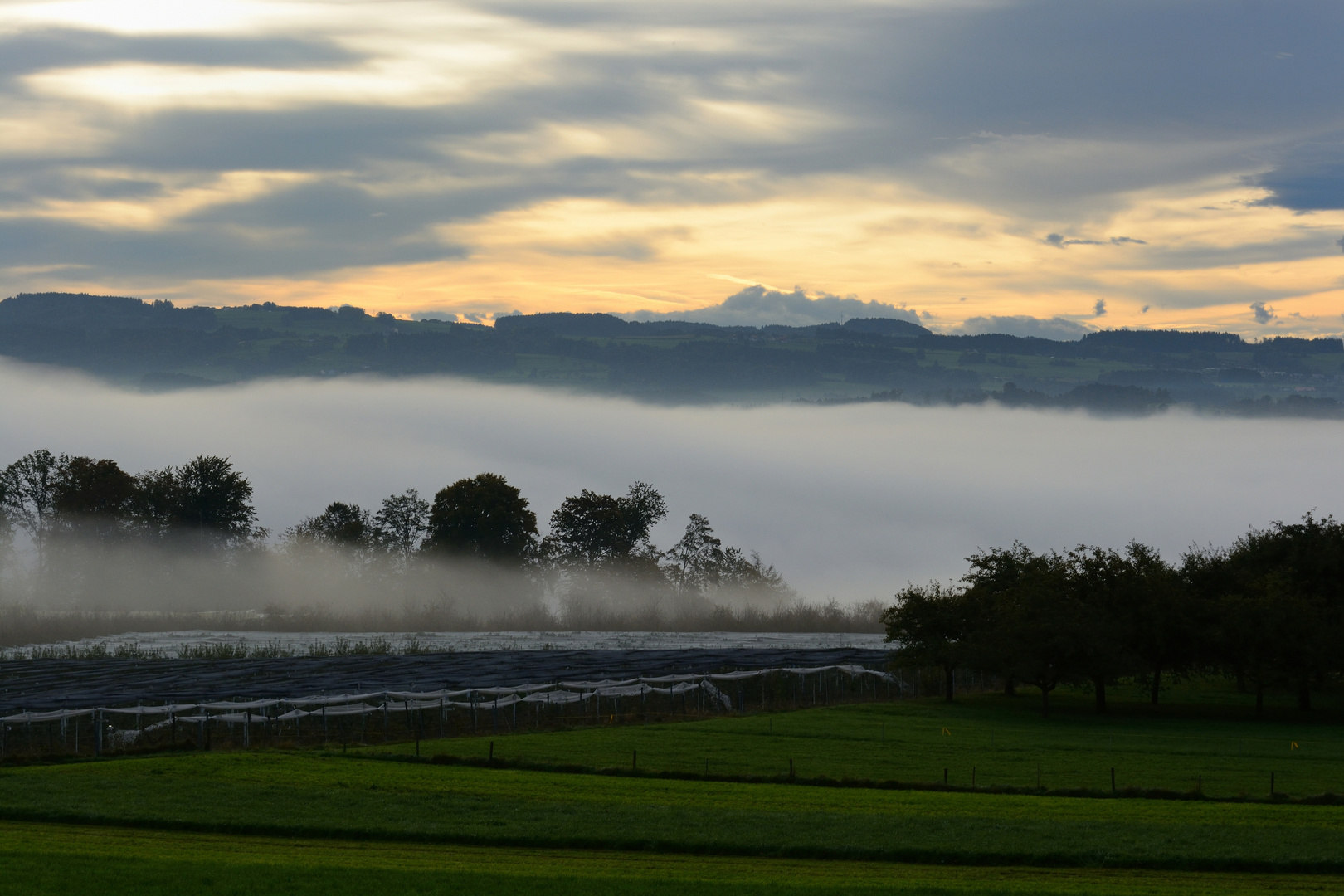 Herbstnebel