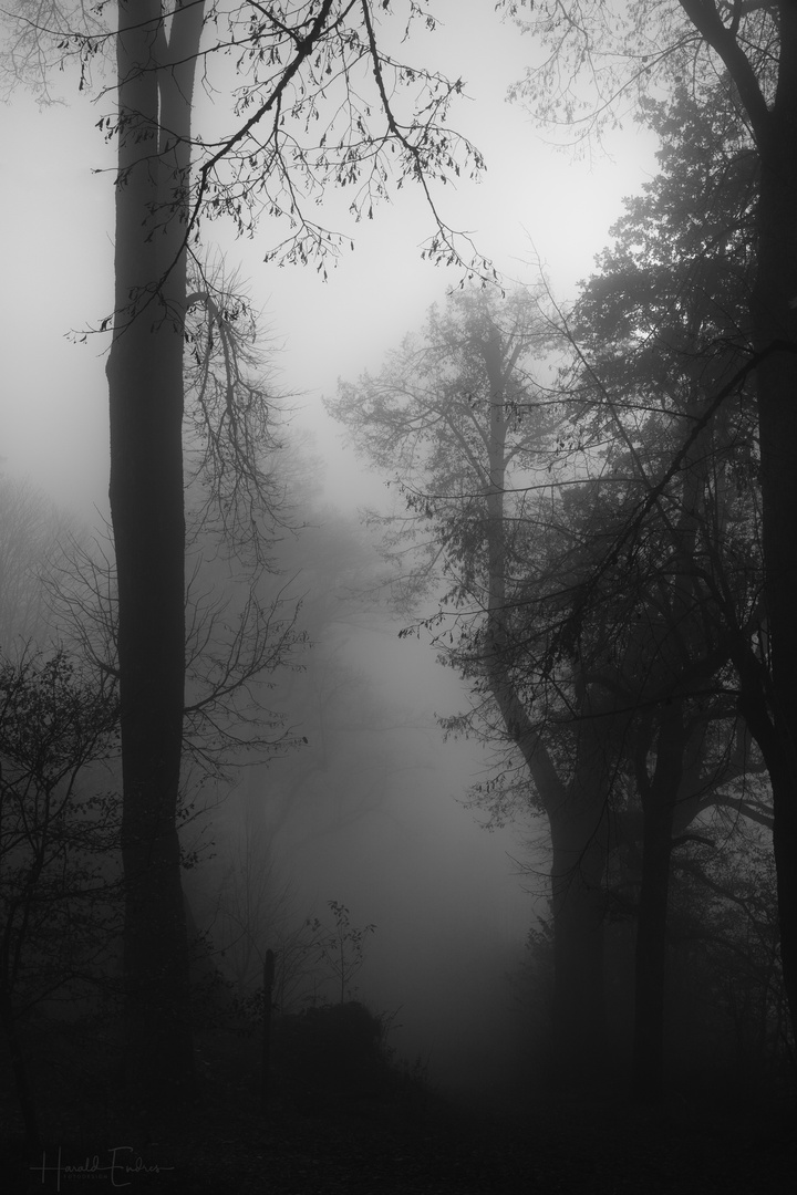 Herbstnebel