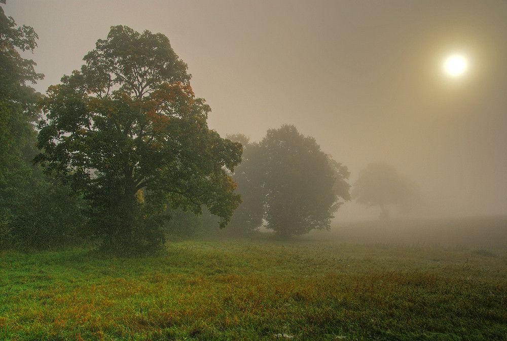 Herbstnebel