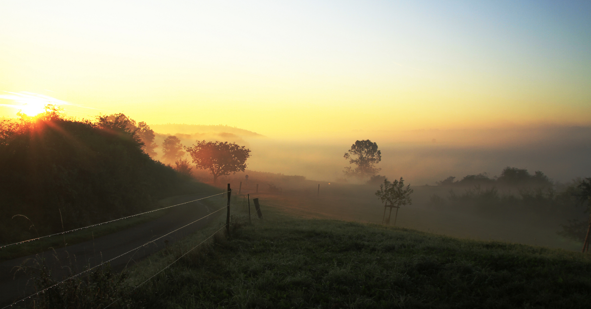 Herbstnebel