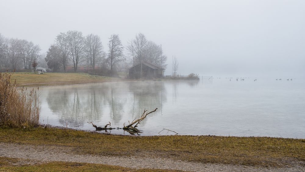 Herbstnebel