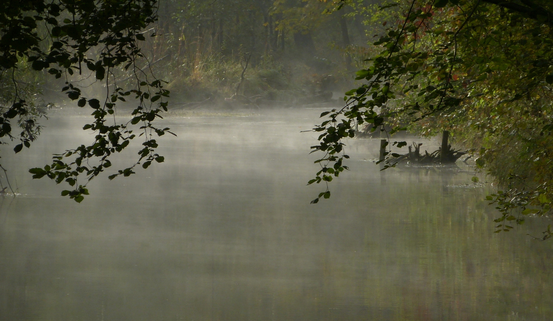 Herbstnebel...