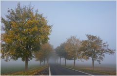 Herbstnebel