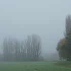 Herbstnebel