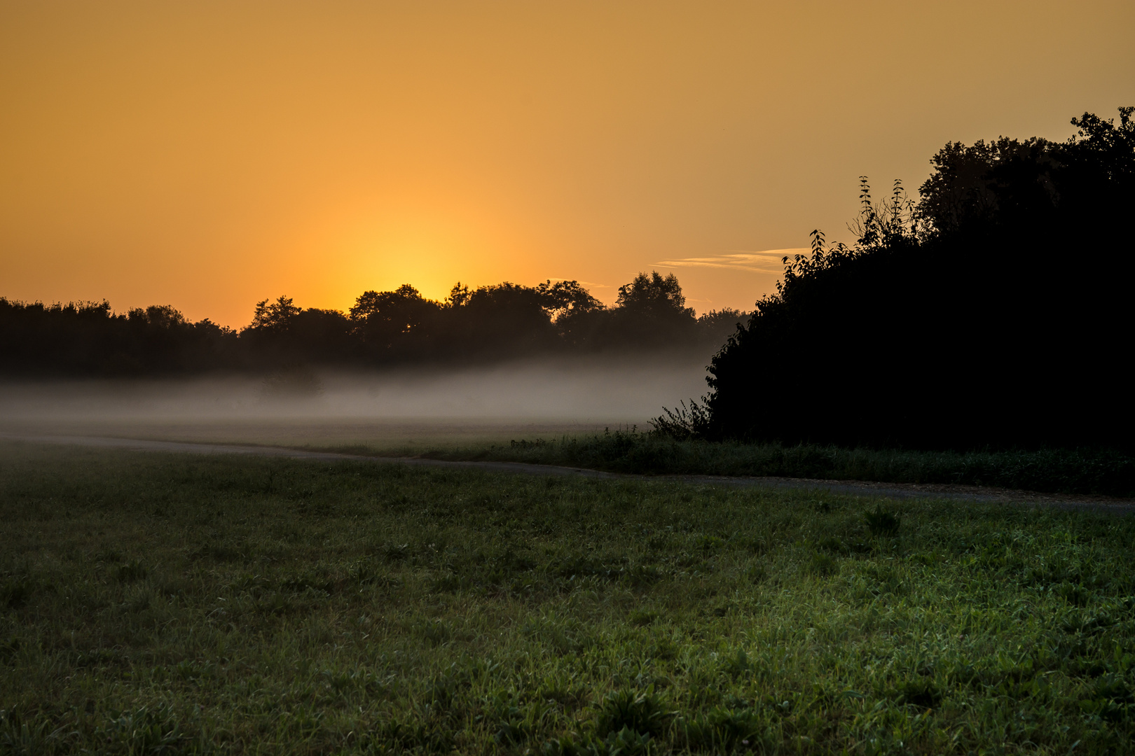 Herbstnebel