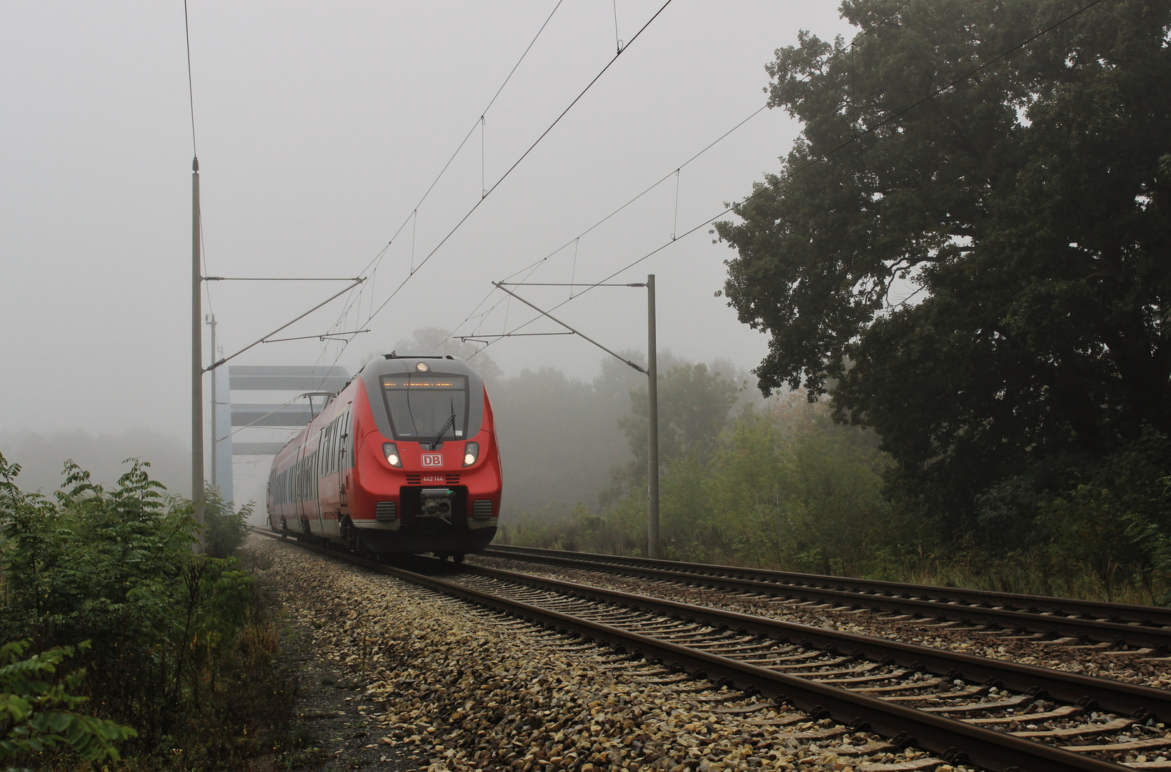 Herbstnebel...