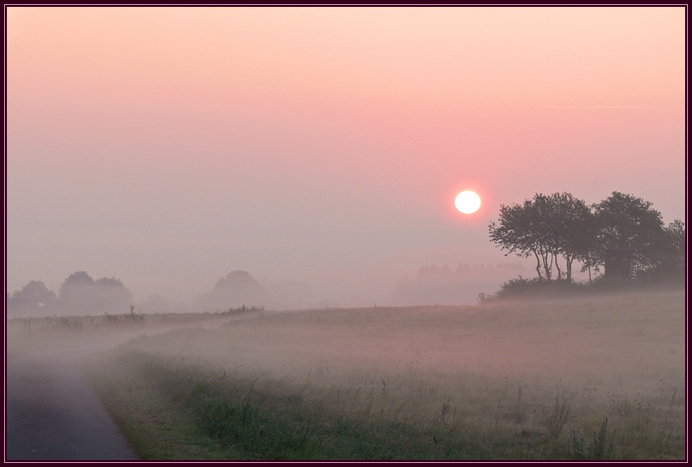 Herbstnebel