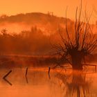 Herbstnebel