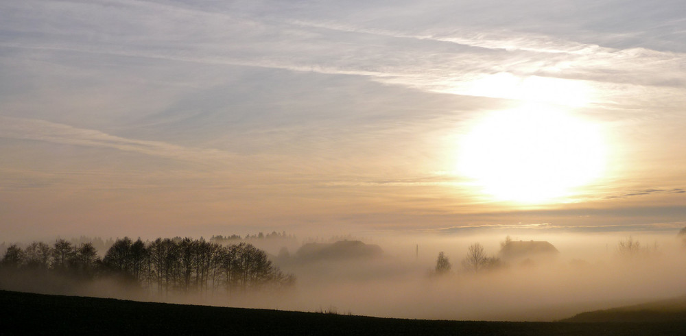 Herbstnebel....