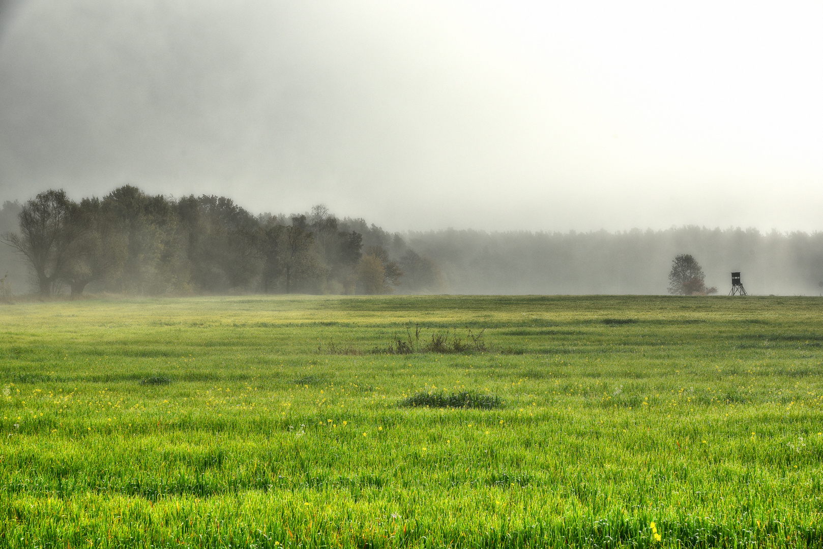 Herbstnebel