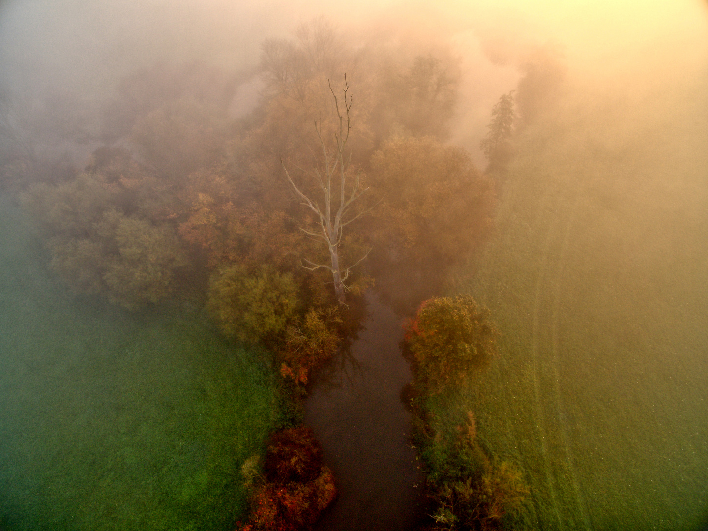 Herbstnebel