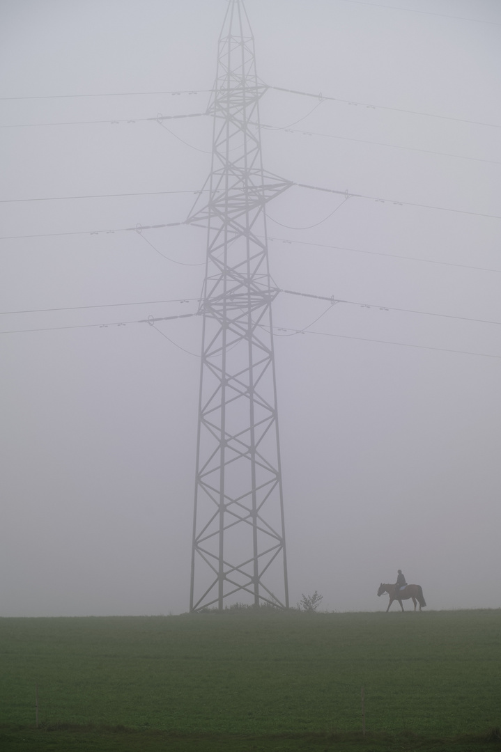 Herbstnebel