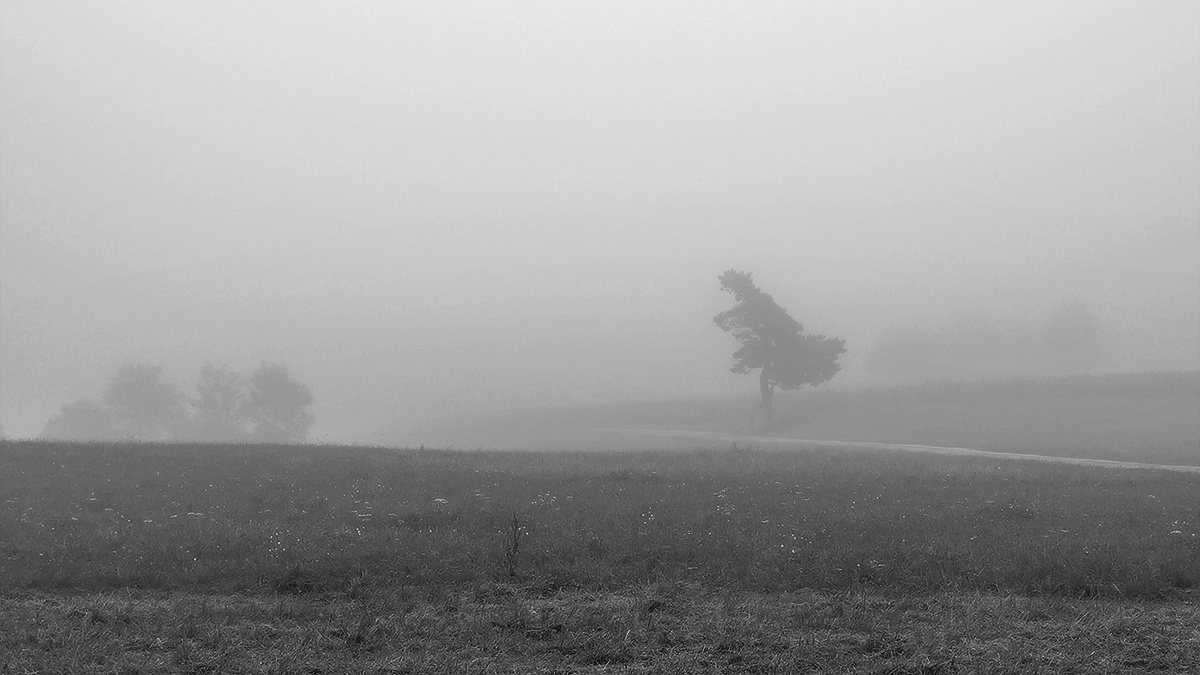 Herbstnebel