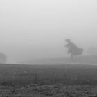 Herbstnebel