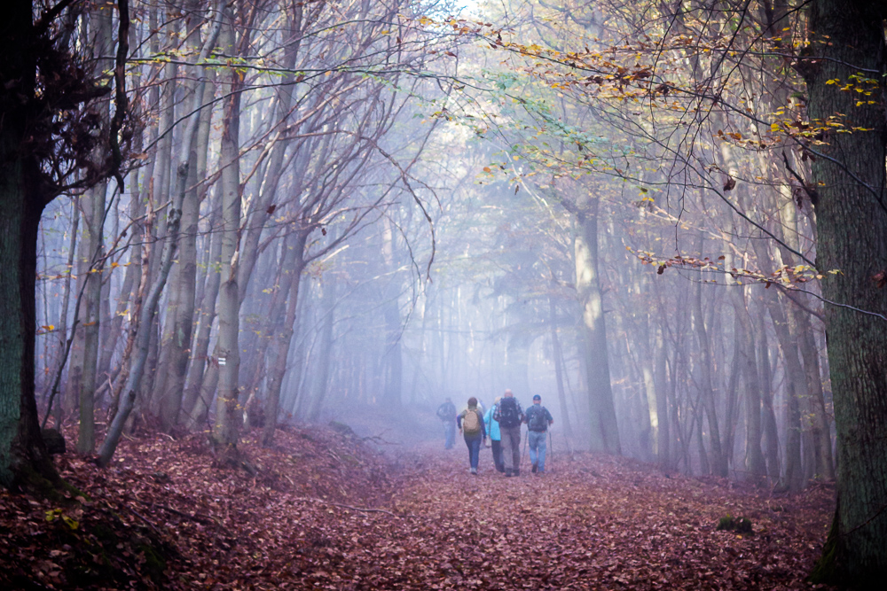 Herbstnebel