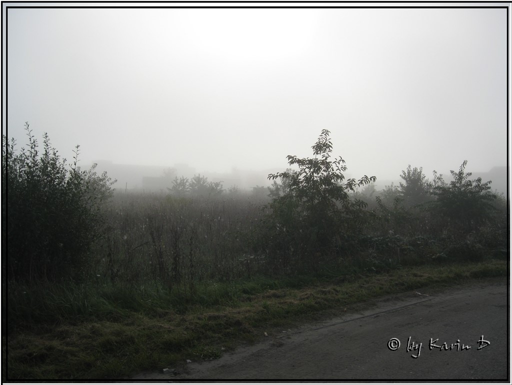 Herbstnebel