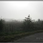 Herbstnebel