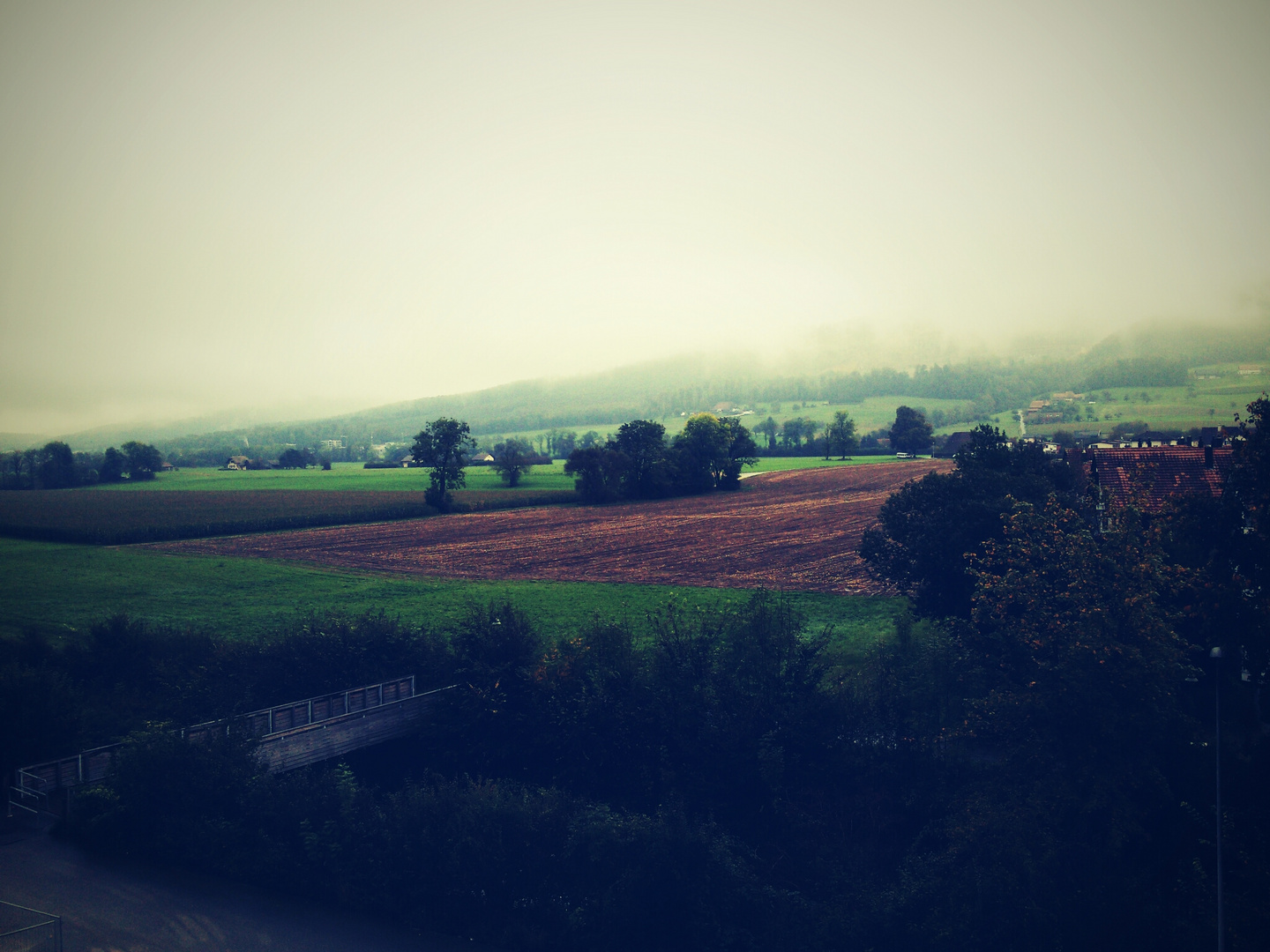 herbstnebel