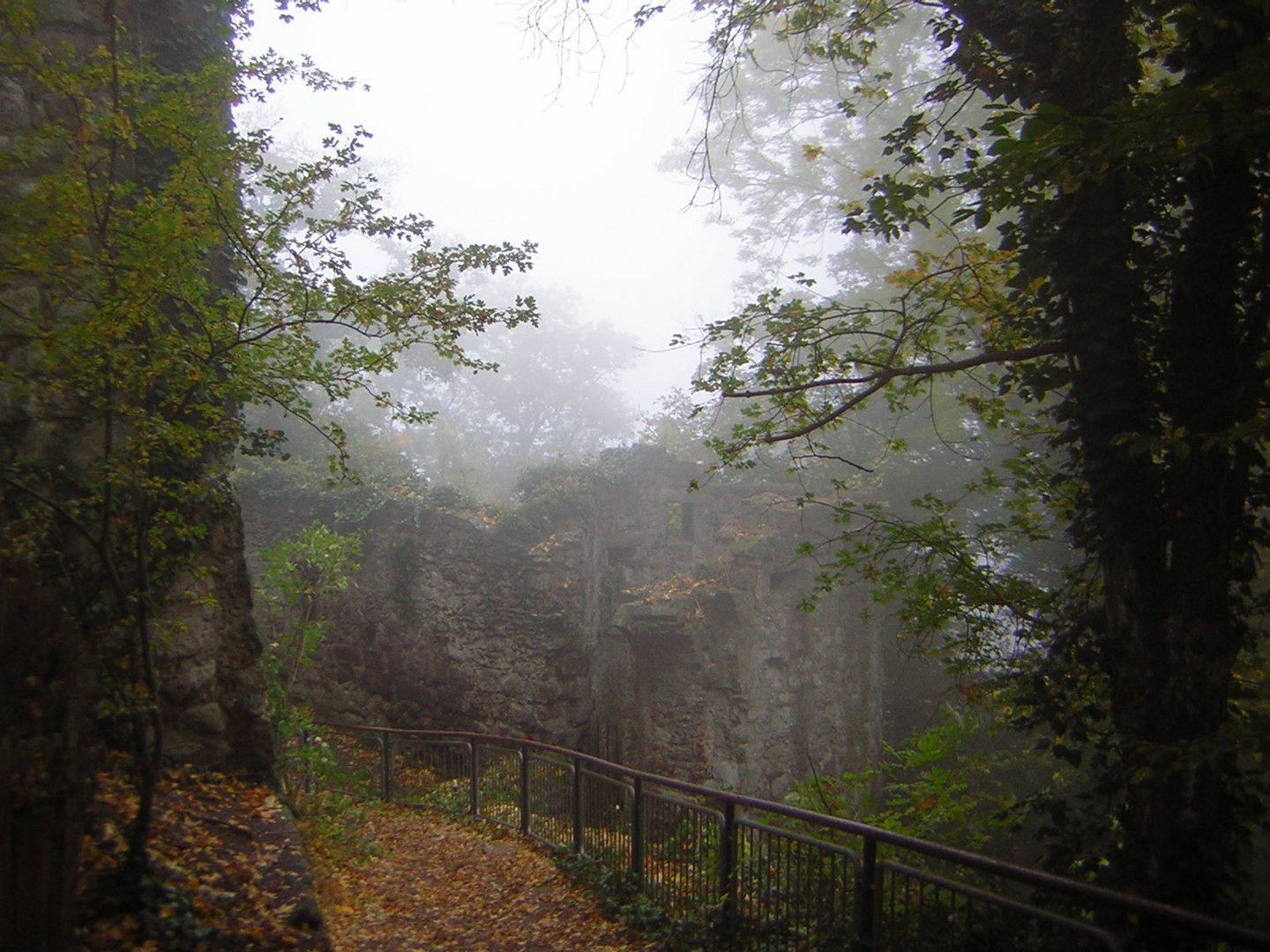 HerbstNebel