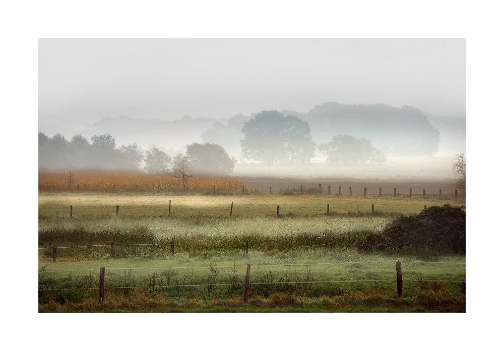 Herbstnebel