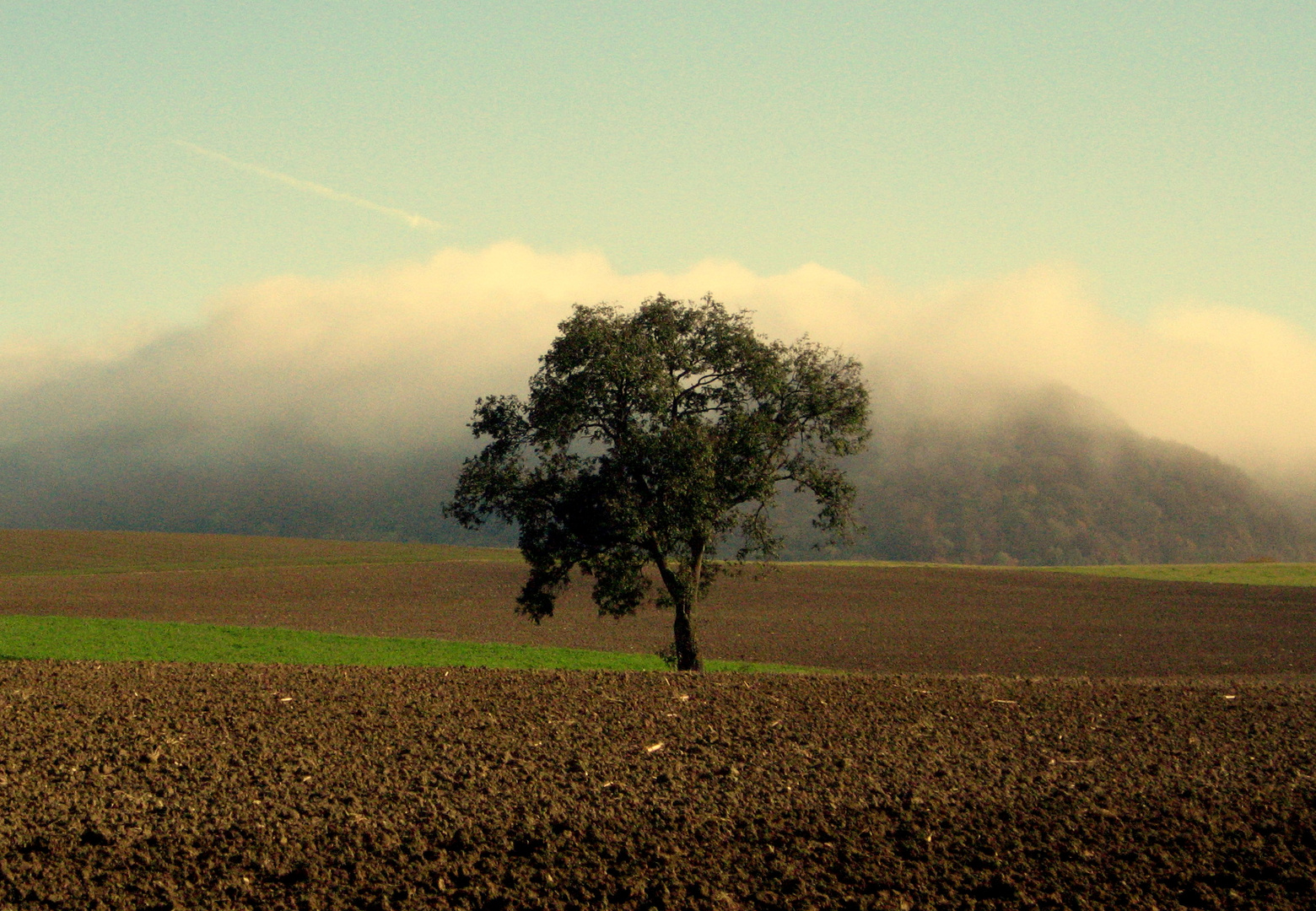 Herbstnebel...