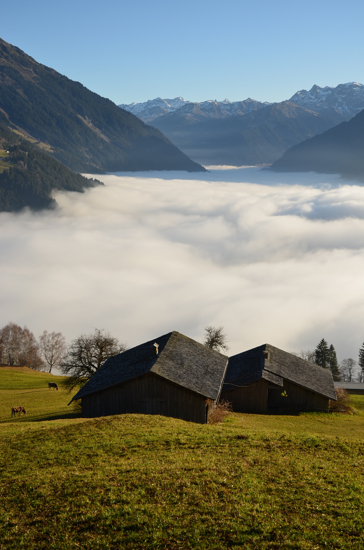 herbstnebel