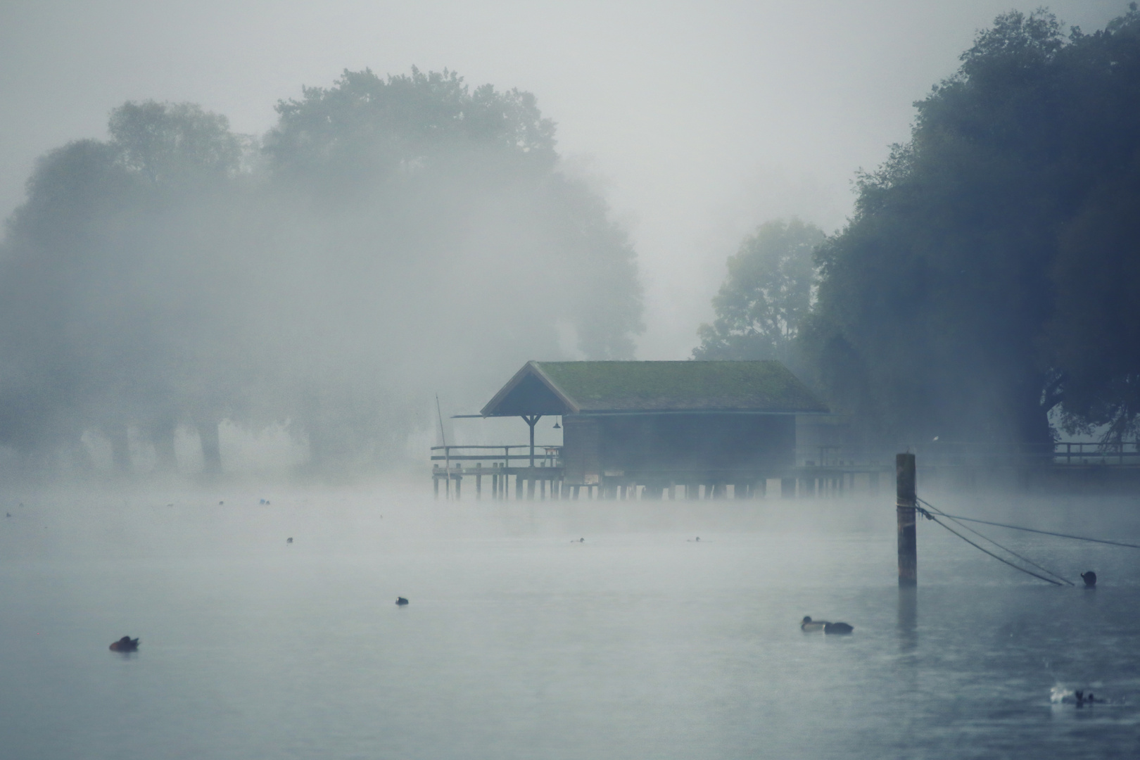 Herbstnebel