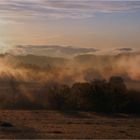 HERBSTNEBEL