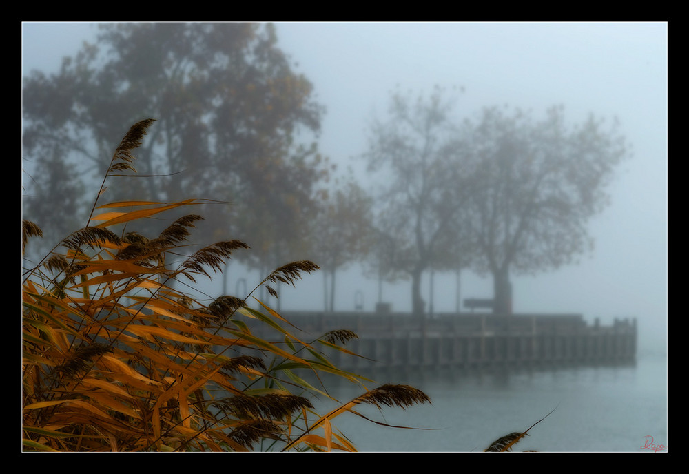 Herbstnebel