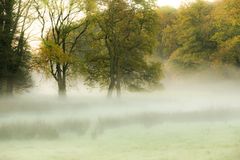 Herbstnebel