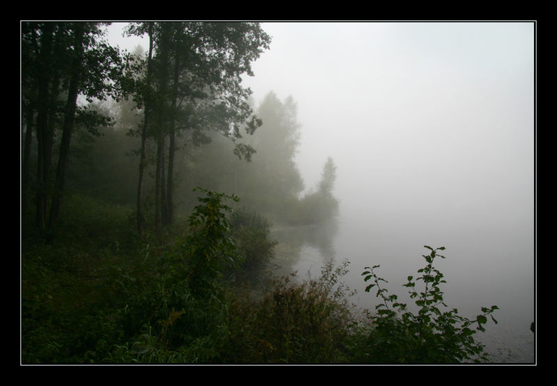 Herbstnebel