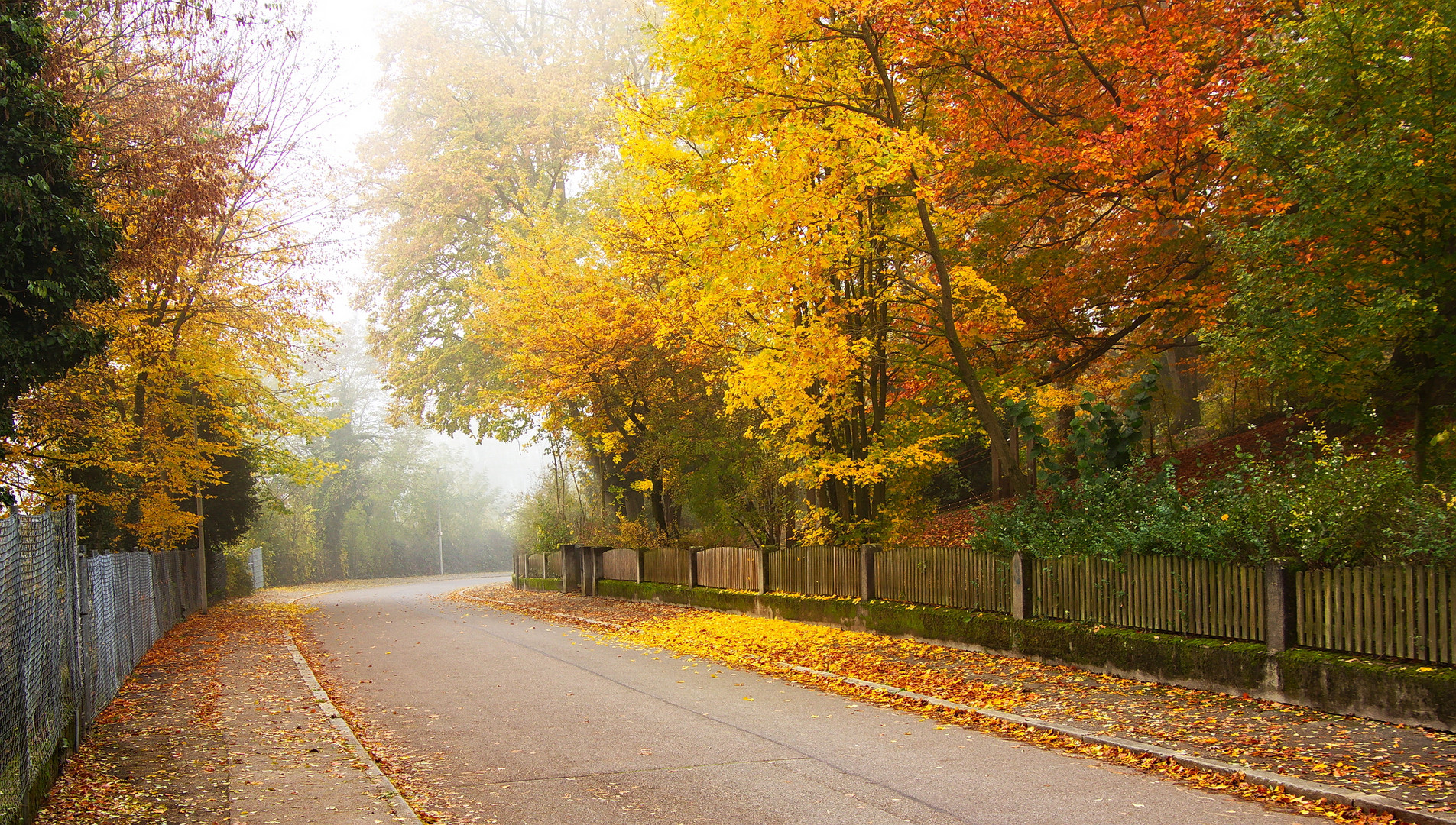 *Herbstnebel*