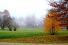 Herbstnebel von Ricarda B 