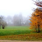 Herbstnebel