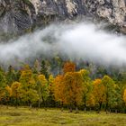 Herbstnebel am Ahornboden