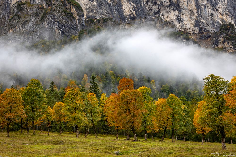 Herbstnebel am Ahornboden