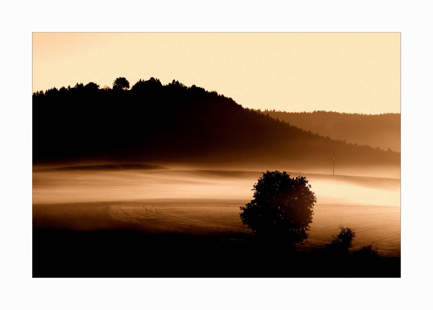 Herbstnebel am Anzenstein