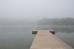 Herbstnebel am Auwaldsee 3