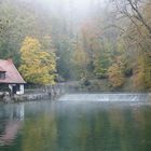 Herbstnebel am Blautopf