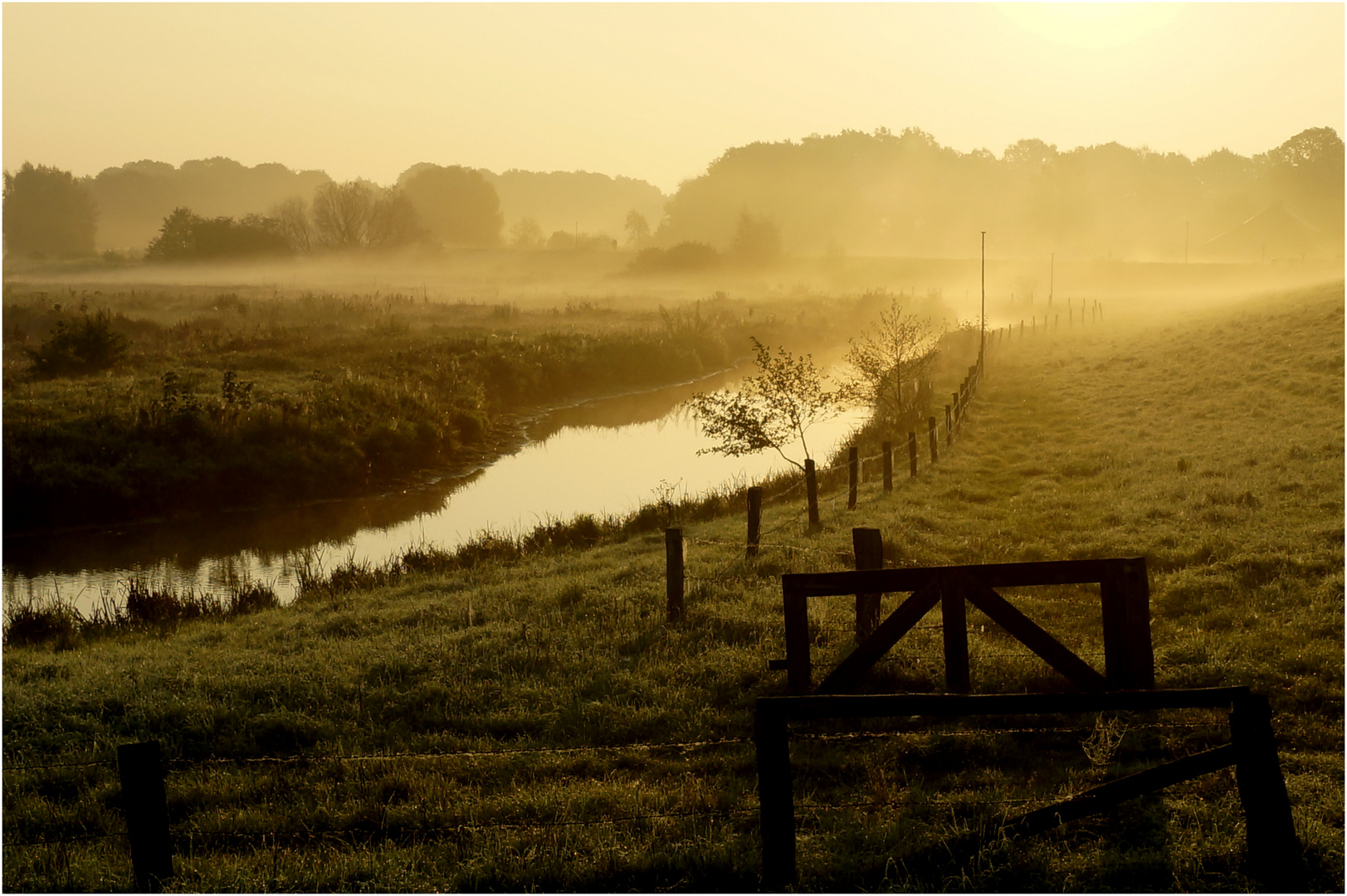 Herbstnebel am frühen Morgen